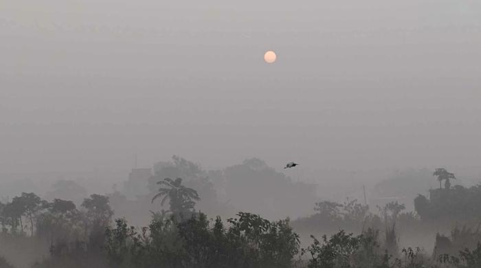 এলো নতুন বছর, স্বাগত ২০২৫ এলো নতুন বছর, স্বাগত ২০২৫