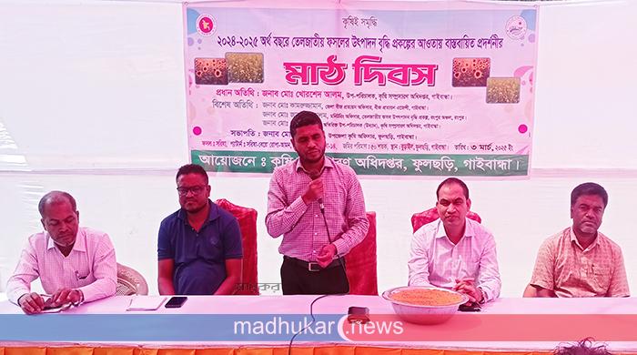 ফুলছড়িতে তেলজাতীয় ফসলের উৎপাদন বৃদ্ধির মাঠ দিবস ফুলছড়িতে তেলজাতীয় ফসলের উৎপাদন বৃদ্ধির মাঠ দিবস
