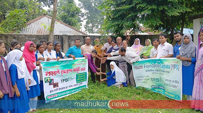 সাঘাটায় সপ্তাহব্যাপী বৃক্ষরোপণ কর্মসূচি শুরু সাঘাটায় সপ্তাহব্যাপী বৃক্ষরোপণ কর্মসূচি শুরু