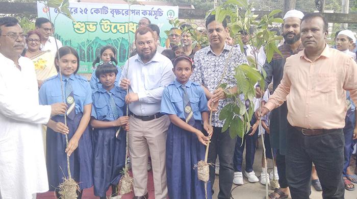 প্রধানমন্ত্রীর নির্দেশনা বাস্তবায়নে গাইবান্ধায় বৃক্ষরোপণ কর্মসূচির উদ্বোধন প্রধানমন্ত্রীর নির্দেশনা বাস্তবায়নে গাইবান্ধায় বৃক্ষরোপণ কর্মসূচির উদ্বোধন