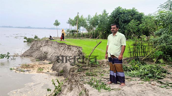 সুন্দরগঞ্জে ফের তিস্তায় ভাঙন, দিশেহারা চরবাসী সুন্দরগঞ্জে ফের তিস্তায় ভাঙন, দিশেহারা চরবাসী