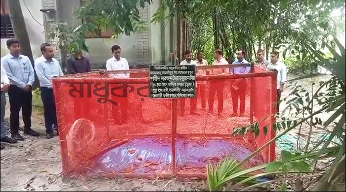 শহীদ সৈয়দ সুজন মিয়ার কবর জিয়ারত করলেন গাইবান্ধার নতুন ডিসি শহীদ সৈয়দ সুজন মিয়ার কবর জিয়ারত করলেন গাইবান্ধার নতুন ডিসি