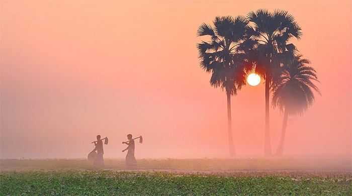 বৃষ্টিহীন আকাশ, কুয়াশা ও হিমেল হাওয়ায় শীতের বার্তা বৃষ্টিহীন আকাশ, কুয়াশা ও হিমেল হাওয়ায় শীতের বার্তা