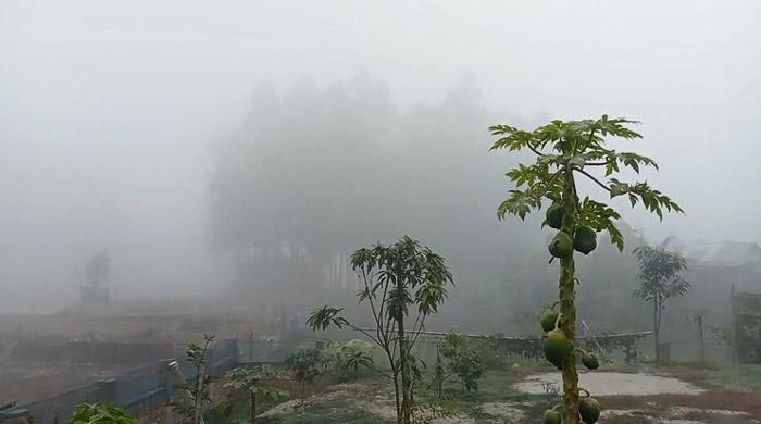 গাইবান্ধায় শৈতপ্রবাহ আর ঠান্ডা বাতাসে বিপর্যস্ত জনজীবন গাইবান্ধায় শৈতপ্রবাহ আর ঠান্ডা বাতাসে বিপর্যস্ত জনজীবন