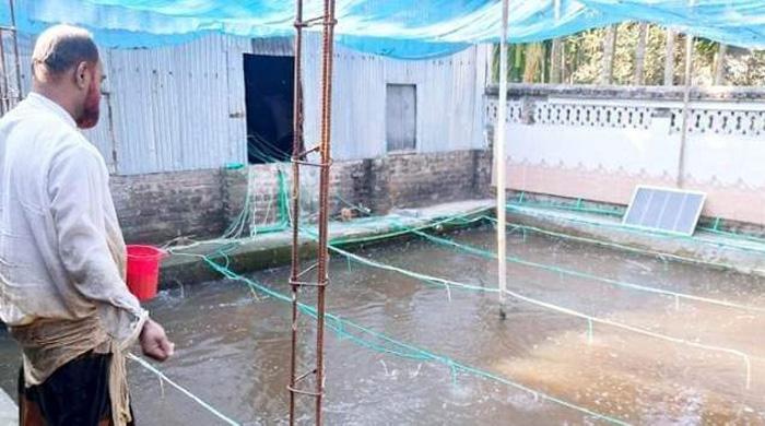কুড়িগ্রামে বাড়ির উঠানে মাছচাষ করে সাড়া ফেলেছেন আব্দুল মোমিন কুড়িগ্রামে বাড়ির উঠানে মাছচাষ করে সাড়া ফেলেছেন আব্দুল মোমিন
