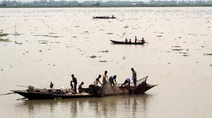 বর্ষায় নতুন প্রাণ ফিরে পেয়েছে যমুনা বর্ষায় নতুন প্রাণ ফিরে পেয়েছে যমুনা