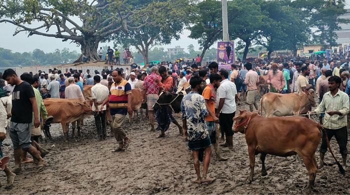 রাণীনগরের আবাদপুকুর পশুর হাটে ভ্রাম্যমাণ আদালতের অভিযানে অর্থদন্ড প্রদান রাণীনগরের আবাদপুকুর পশুর হাটে ভ্রাম্যমাণ আদালতের অভিযানে অর্থদন্ড প্রদান