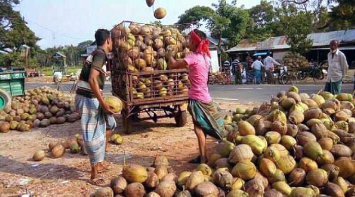 প্রথমবারের মতো ভারত থেকে এলো ৫০ মেট্রিক টন নারিকেল প্রথমবারের মতো ভারত থেকে এলো ৫০ মেট্রিক টন নারিকেল