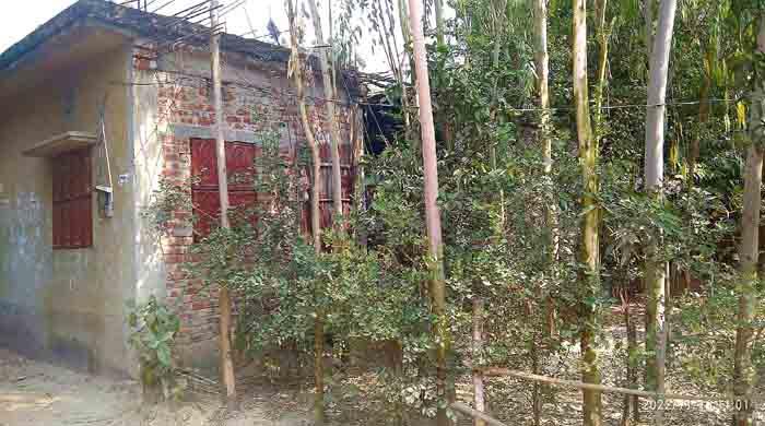 নওগাঁয় ঘরের সামনে বেড়া,উচ্ছেদ চেষ্টার অভিযোগ নওগাঁয় ঘরের সামনে বেড়া,উচ্ছেদ চেষ্টার অভিযোগ