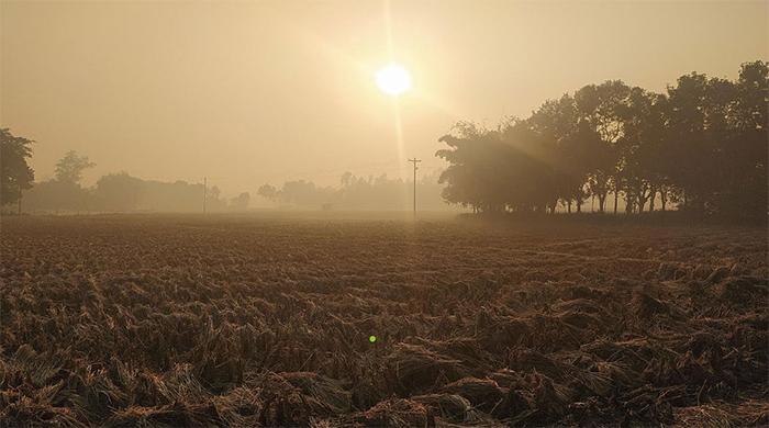পঞ্চগড়ে বাড়ছে শীতের তীব্রতা, তাপমাত্রা নামল ১২ ডিগ্রিতে পঞ্চগড়ে বাড়ছে শীতের তীব্রতা, তাপমাত্রা নামল ১২ ডিগ্রিতে