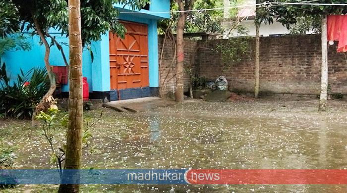 সুন্দরগঞ্জ পৌরসভায় শিলাবৃষ্টি আমের গুটিসহ ফসলের ক্ষতি সুন্দরগঞ্জ পৌরসভায় শিলাবৃষ্টি আমের গুটিসহ ফসলের ক্ষতি