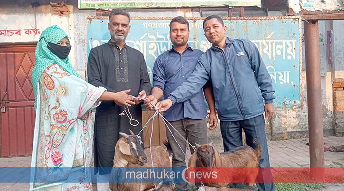 কাউনিয়ায় ক্ষতিগ্রস্ত প্রবাসীদের মাঝে ছাগল বিতরণ কাউনিয়ায় ক্ষতিগ্রস্ত প্রবাসীদের মাঝে ছাগল বিতরণ