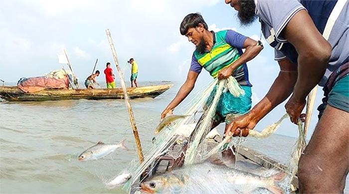 ২২ দিনের নিষেধাজ্ঞা শেষে ইলিশ শিকারে নেমেছে জেলেরা ২২ দিনের নিষেধাজ্ঞা শেষে ইলিশ শিকারে নেমেছে জেলেরা