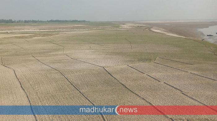 সুন্দরগঞ্জে তিস্তার চরে চাষাবাদের ধুম সুন্দরগঞ্জে তিস্তার চরে চাষাবাদের ধুম