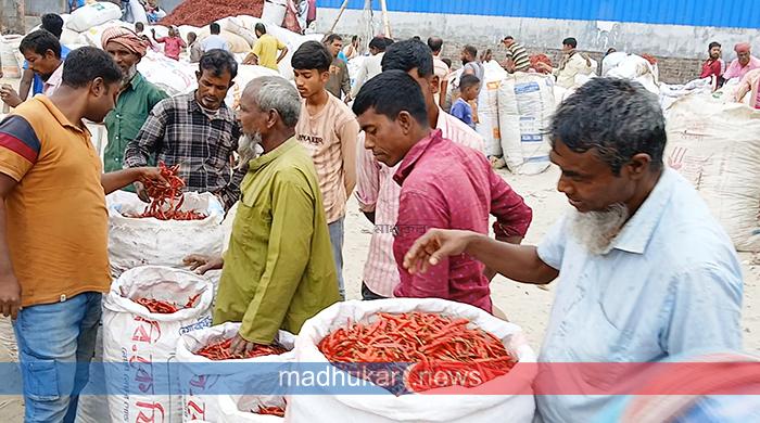 কোটি টাকার শুকনো মরিচ বিক্রি হয় যে হাটে কোটি টাকার শুকনো মরিচ বিক্রি হয় যে হাটে