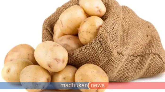 আজ প্রথম আন্তর্জাতিক আলু দিবস আজ প্রথম আন্তর্জাতিক আলু দিবস