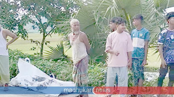 পলাশবাড়ীতে বাস খাদে পড়ে নারী নিহত, আহত ১০ পলাশবাড়ীতে বাস খাদে পড়ে নারী নিহত, আহত ১০