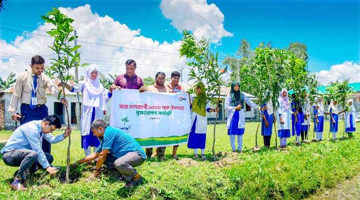 গাইবান্ধায় বিভিন্ন শিক্ষা প্রতিষ্ঠানে আইএফআইসি ব্যাংকের বৃক্ষ রোপন গাইবান্ধায় বিভিন্ন শিক্ষা প্রতিষ্ঠানে আইএফআইসি ব্যাংকের বৃক্ষ রোপন