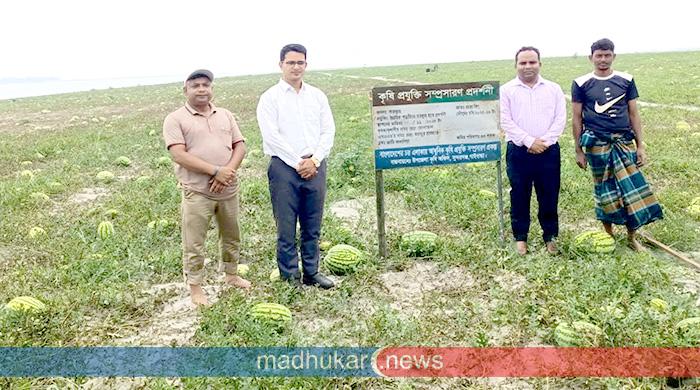 বালুচরে তরমুজ চাষ করে স্বাবলম্বী অনেক কৃষক