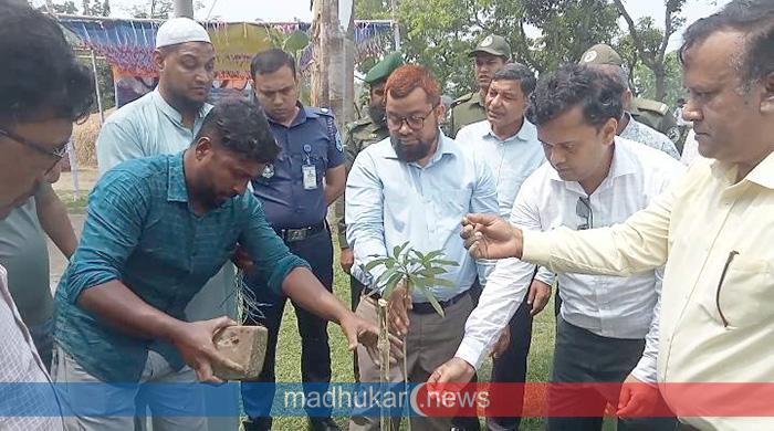 সরকারের অঙ্গীকার বাস্তবায়নে গাইবান্ধায় এক হাজার বৃক্ষরোপন করবে সওজ