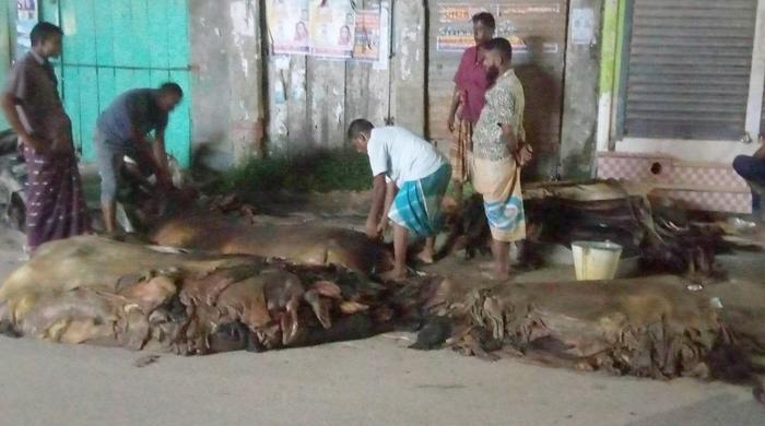 লাখ টাকার গরুর চামড়া বিক্রি হল ২০০ টাকায়