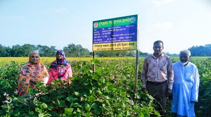 খানসামায় গ্রীষ্মকালীন শিম চাষে সাফল্য ময়েজ উদ্দীনের