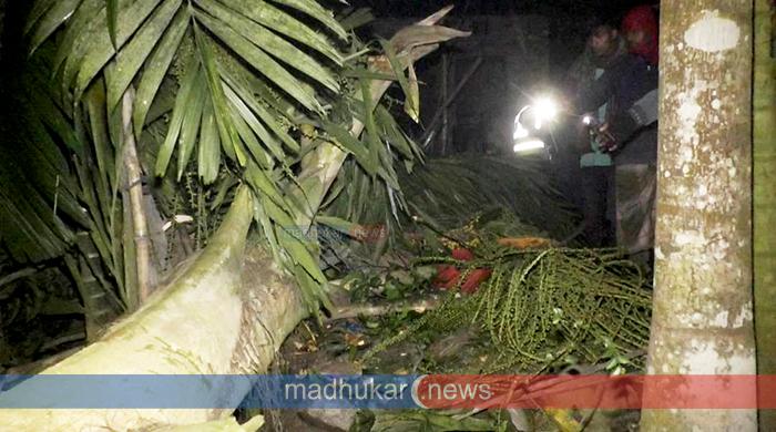 গাইবান্ধায় গাছ কাটা দেখছিল দুই বোন, রাতে পাতার নিচে মিলল লাশ