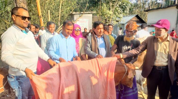 সুন্দরগঞ্জে গবাদি পশুর কম্বল বিতরণ