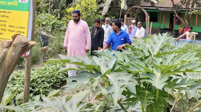 গোবিন্দগঞ্জে শাক সবজি বিক্রি করে বাড়তি টাকা আয়