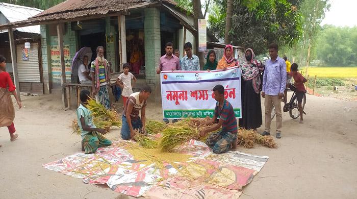 গাইবান্ধা সদর উপজেলায় আনুষ্ঠানিকভাবে ধান কর্তন ও মাড়াই