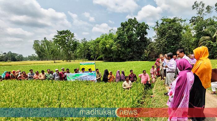 ফুলছড়িতে কমিউনিটি বীজ উৎপাদন প্রযুক্তি প্রদর্শনী অনুষ্ঠিত 