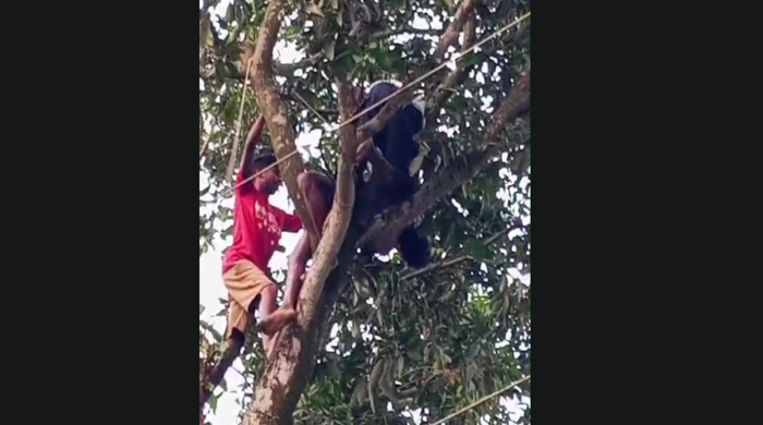 সুন্দরগঞ্জে আম পাড়তে গিয়ে বিদ্যুৎস্পৃষ্টে একজনের মৃত্যু
