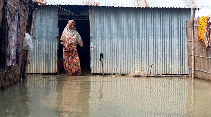 ছোলপোল, গরু-বাছুর নিয়্যা পোকা-মাকড়ের সাথে যুদ্ধ করে থাকপার নচি