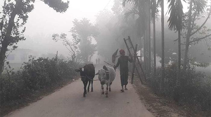 পঞ্চগড়ে হাড় কাঁপাচ্ছে শৈত্যপ্রবাহের কনকনে শীত