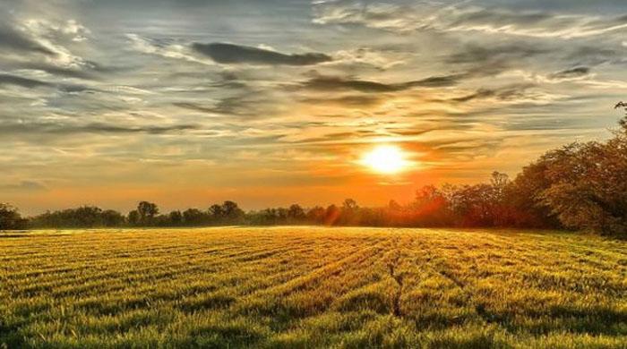  শৈত্যপ্রবাহ কেটেছে, বাড়তে পারে তাপমাত্রা
