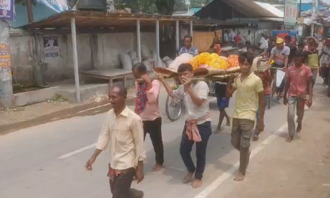 সাঘাটায় বজ্রপাতে মা-ছেলের মর্মান্তিক মৃত্যু