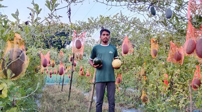 তরমুজ চাষে স্বাবলম্বী দিনাজপুরের মিনহাজ