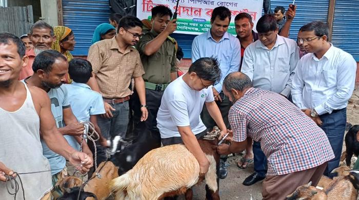 গোবিন্দগঞ্জে বিনামূল্যে পিপিআর টিকা প্রদান ক্যাম্পেইনের উদ্বোধন