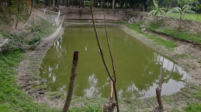 গোবিন্দগঞ্জে আষাঢ়ের শেষেও পুকুর ও খাল বিল পানি শুন্য॥ দেশী মাছ উৎপাদন বিঘিœত হওয়ার আশংকা