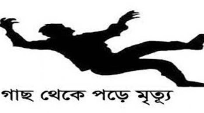 গোবিন্দগঞ্জে নারিকেল গাছ থেকে পড়ে মৃত্যু