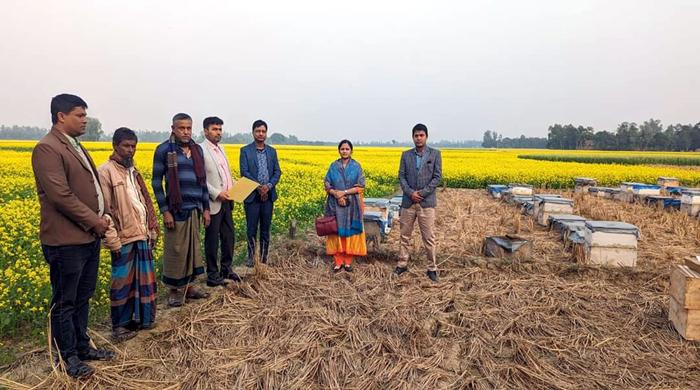মধু সংগ্রহে ব্যস্ত রাণীনগরের মৌয়ালরা