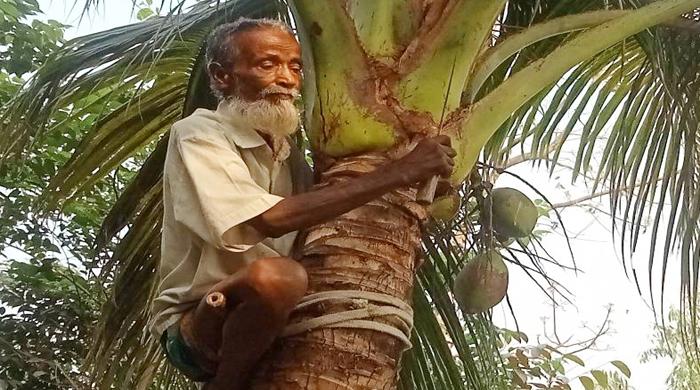 প্রায় ৬০ বছর ধরে নারিকেল গাছ পরিস্কার করেন ছয়েছ 