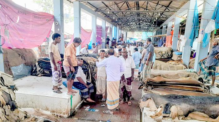 পলাশবাড়ীতে চামড়া প্রতি ২শ টাকা লোকসান গুনতে হচ্ছে ব্যবসায়ীদের