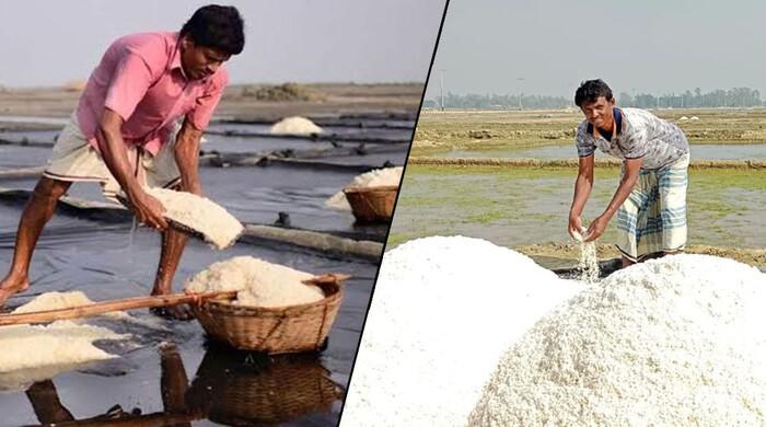 চলতি মৌসুমে লক্ষ্যমাত্রার চেয়ে প্রায় ৮ লাখ টন কম লবণ উৎপাদন