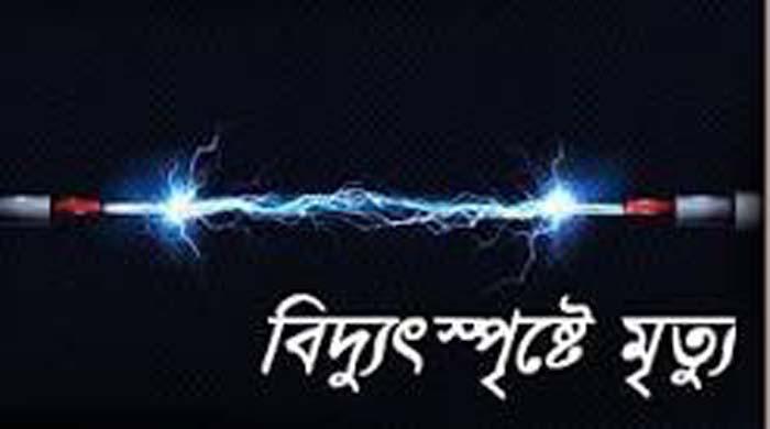 পলাশবাড়ীতে বিদ্যুৎপৃষ্টে শিক্ষার্থী নিহত