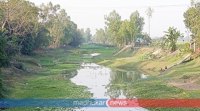 খরস্রোতা আলাই নদী এখন মরা খাল!
