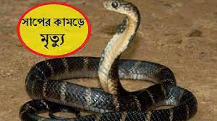 মহিমাগঞ্জে সাপের কামড়ে গৃহবধূর মৃত্যু