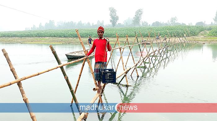 পলাশবাড়ীতে ৬ গ্রামের মানুষের ভরসা একটি বাঁশের সাঁকো