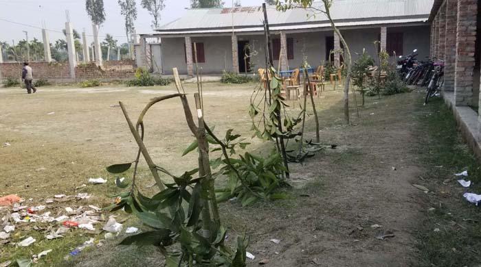 সাদুল্লাপুরে গাছের সাথে এ কেমন শত্রুতা 