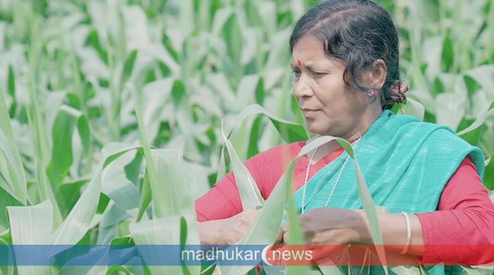 খরার কঠিন মাটিতেও সবুজের স্বপ্ন বুনছেন ক্ষুদ্র নৃগোষ্ঠীর নারীরা